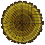 Flexible cutting schema