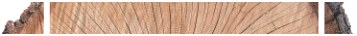 Log with edges trimmed by the Duett